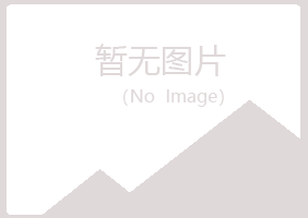 上海宝山山柏服务有限公司